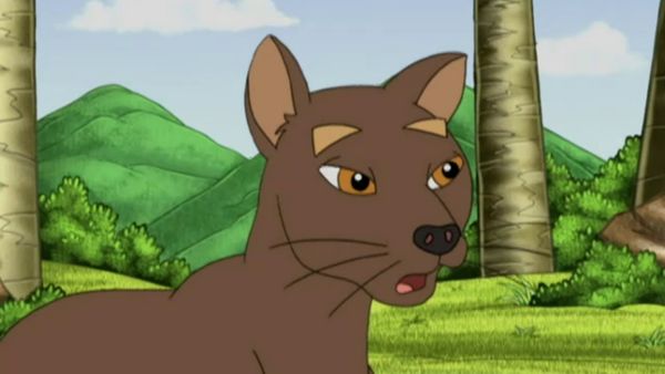 Go, Diego, Go! - Lêmures saltitantes