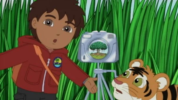 Go, Diego, Go! - O tigre bengala faz um desejo