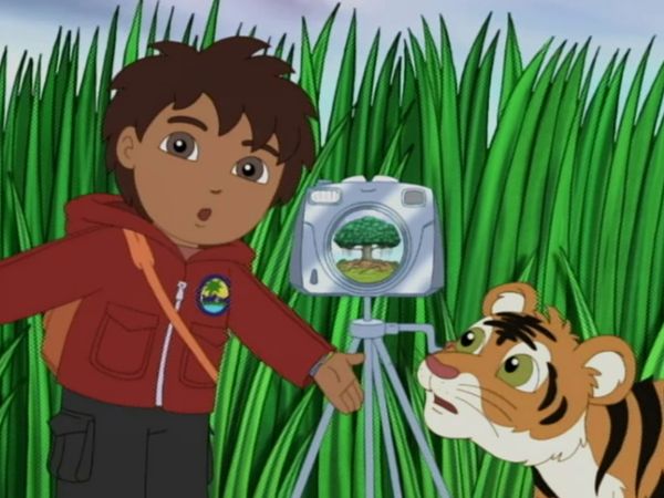 Go, Diego, Go! - O tigre bengala faz um desejo