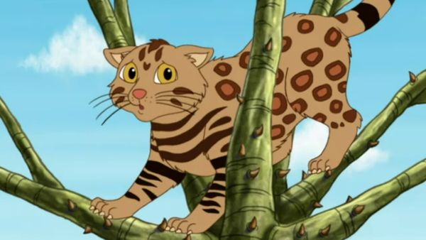 Go, Diego, Go! - Pampas Cat e seus amigos ajudam o Centro de Resgate