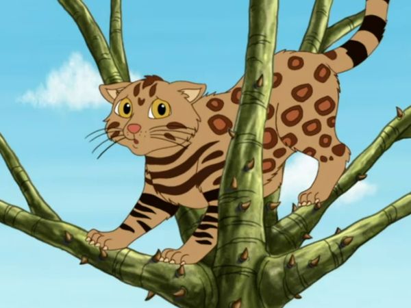 Go, Diego, Go! - Pampas Cat e seus amigos ajudam o Centro de Resgate