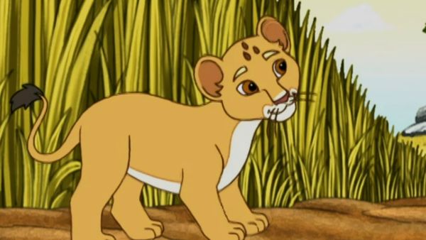 Go, Diego, Go! - Bem-vindo, leãozinho