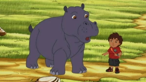 Go, Diego, Go! - Diego reaproxima o hipopótamo e o pica-boi