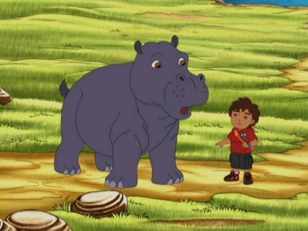 Go, Diego, Go! - Diego reaproxima o hipopótamo e o pica-boi