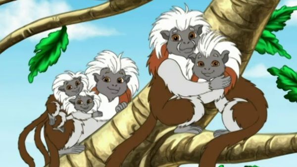 Go, Diego, Go! - Rescate da caverna dos saguis