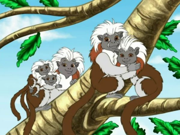 Go, Diego, Go! - Rescate da caverna dos saguis