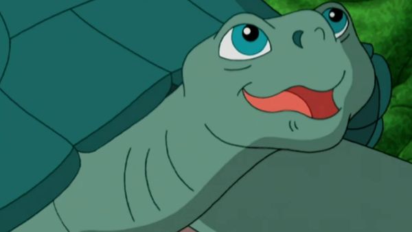 Go, Diego, Go! - Salvem as tartarugas gigantes