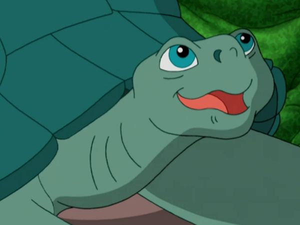 Go, Diego, Go! - Salvem as tartarugas gigantes