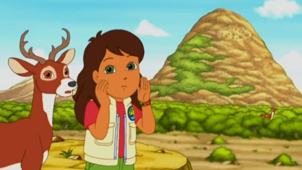 Go, Diego, Go! - Alicia e Cauda Branca ao resgate!