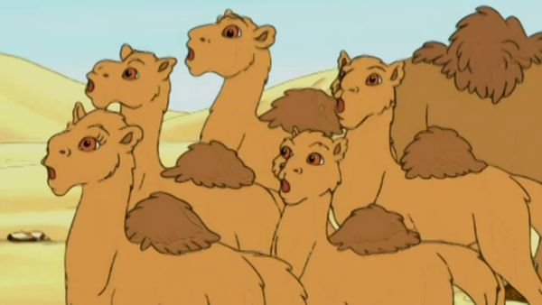 Go, Diego, Go! - Aventura com camelos egípcios