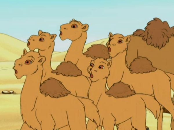 Go, Diego, Go! - Aventura com camelos egípcios