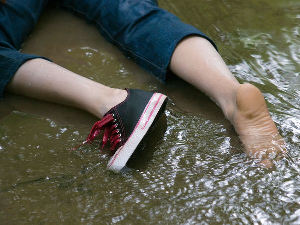 Les Eaux Troubles du Crime - La Proie