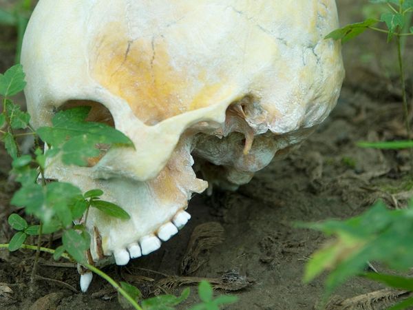 Les Eaux Troubles du Crime - Femme sans nom