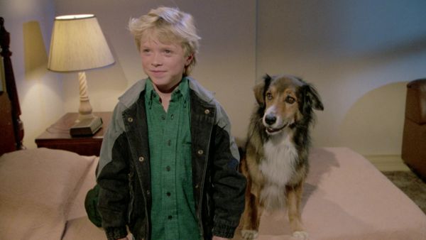 Autostop per il cielo - È una vita da cani