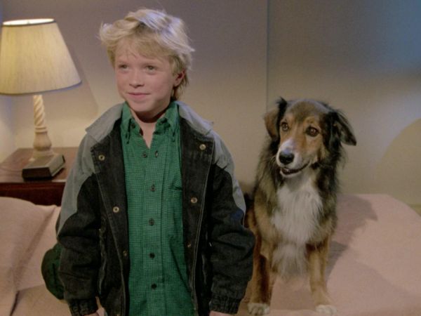 Autostop per il cielo - È una vita da cani