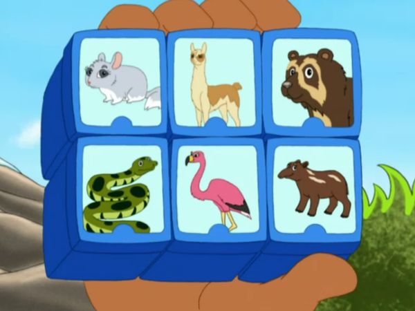 Go, Diego, Go! - Mamãe Flamingo