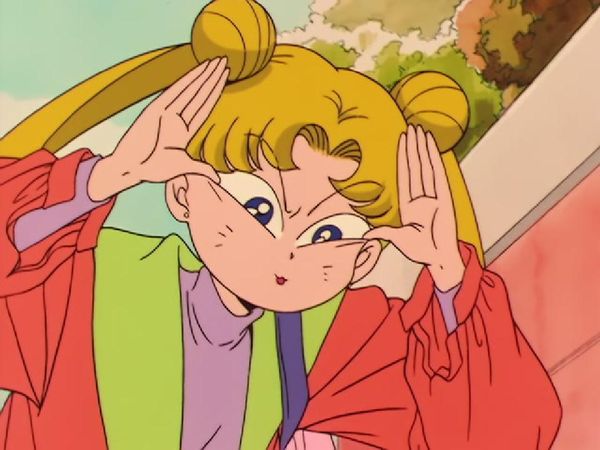 Sailor Moon - Loved and Chased: Luna's Worst Day Ever