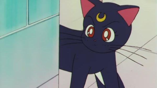 Sailor Moon - The Targeted Kindergarteners: Venus to the Rescue