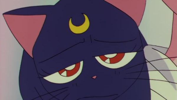 Sailor Moon - Dispute Over Love: Minako and Makoto's Conflict
