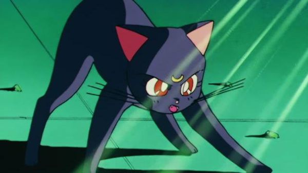 Sailor Moon - Awaken the Sleeping Beauty: Mamoru's Distress
