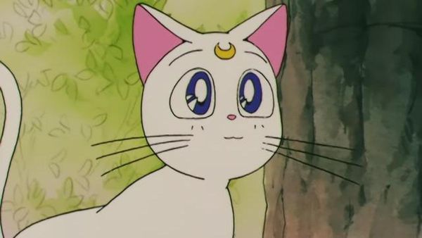 Sailor Moon - Artemis's Adventure: The Monster Animal Kingdom