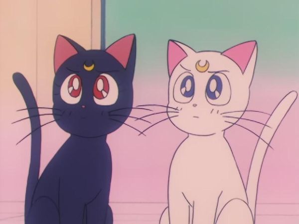 Sailor Moon - The Dark Gate Is Completed? The Targeted Elementary School