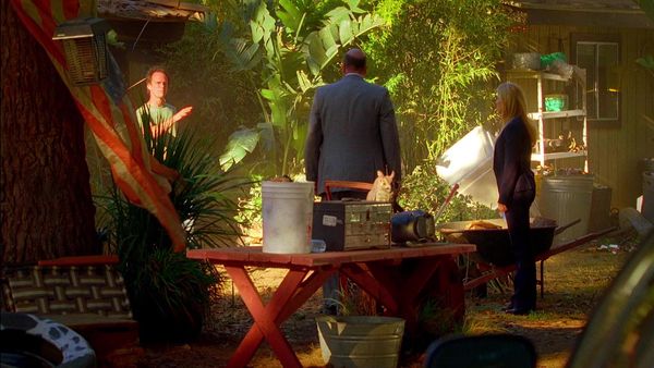 CSI: Miami - Disuelto