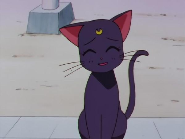 Sailor Moon - Luna's Discovery: The Real Face of Yaten