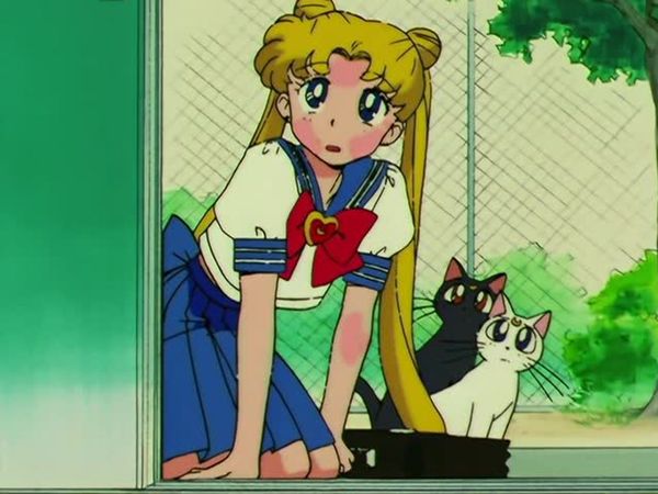 Sailor Moon - The Shocking Moment: Everyone's Identities Revealed
