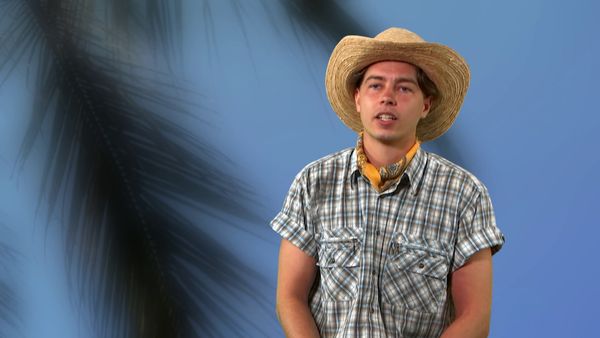 Paradise - Episode 233