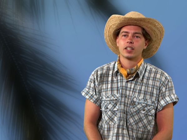 Paradise - Episode 233
