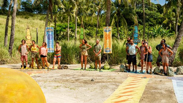 Survivor - Ready to Play Like a Lion