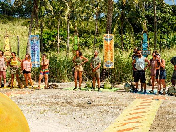 Survivor - Ready to Play Like a Lion