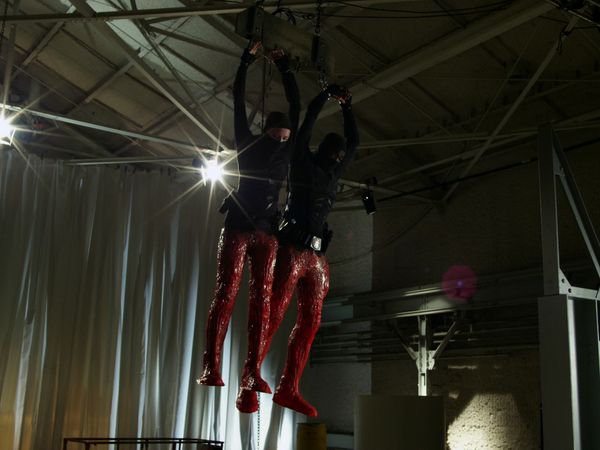 Supah Ninjas CA - Shadow Fly