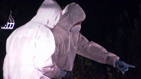 Forensic Factor - Yosemite Park Muders