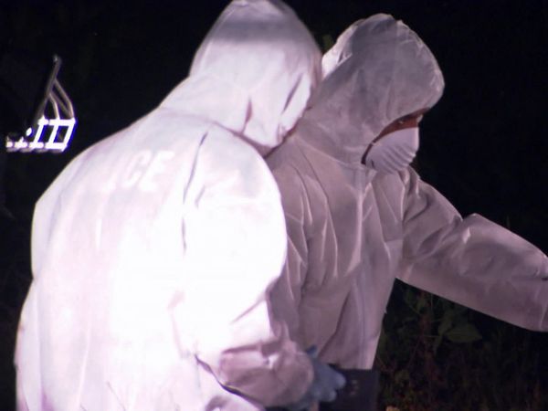 Forensic Factor - Yosemite Park Muders