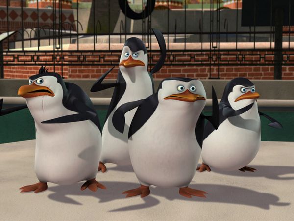The Penguins of Madagascar - Tangled in the Web/Crown Fools