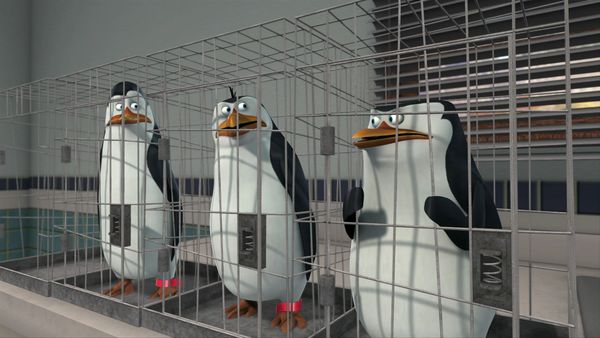 The Penguins of Madagascar - Needle Point/Eclipsed