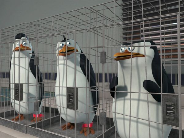 The Penguins of Madagascar - Needle Point/Eclipsed