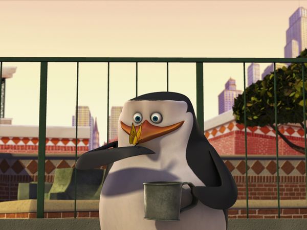 The Penguins of Madagascar - Pet's Peeved/Byte-Sized