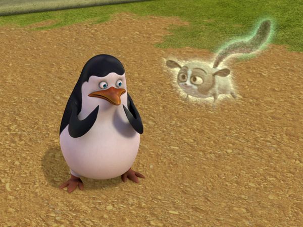 The Penguins of Madagascar - The Penguin Stays in the Picture/Huffin and Puffin