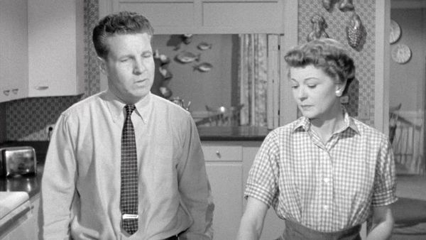 The Adventures of Ozzie and Harriet - Gentleman David