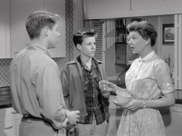 The Adventures of Ozzie and Harriet - David Writes a Column