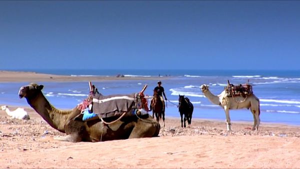 Fantasy Homes by the Sea - Morocco