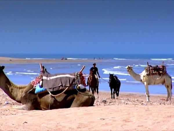 Fantasy Homes by the Sea - Morocco