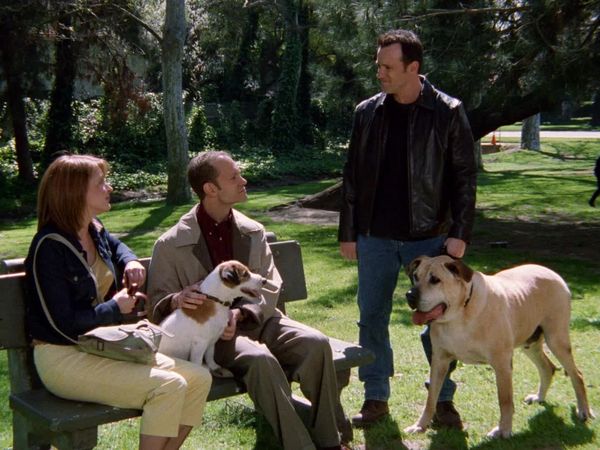 Frasier - A Day in May