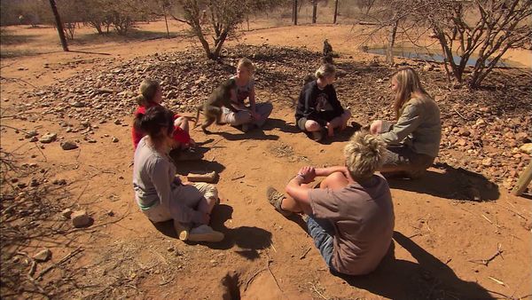 Wild Animal Orphans - Big Cats and Baby Baboons