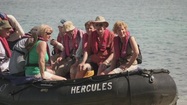 The Travel Bug - Papua New Guinea, Part II