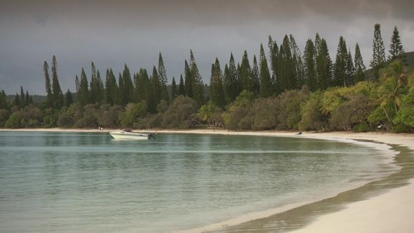The Travel Bug - New Caledonia
