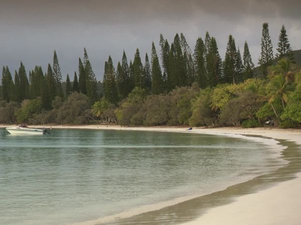 The Travel Bug - New Caledonia